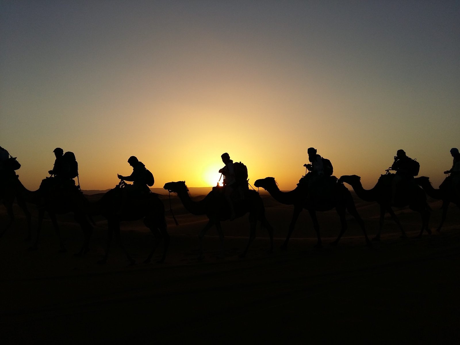 Camel caravan silhouetted against a Sahara desert sunset