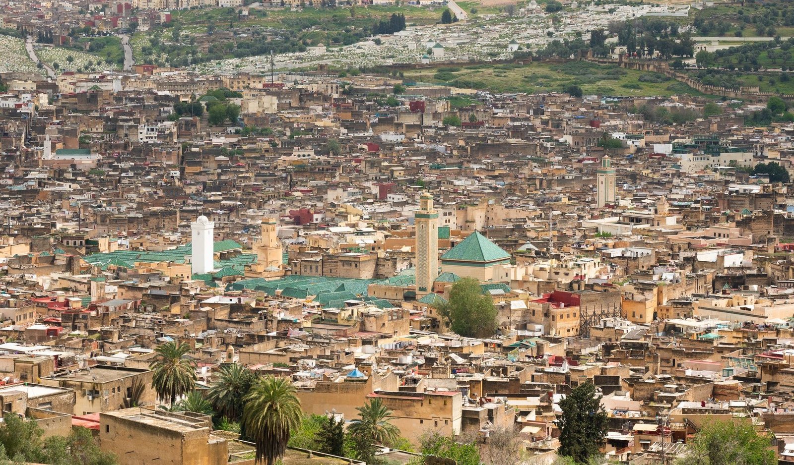 Fes medina panorama
