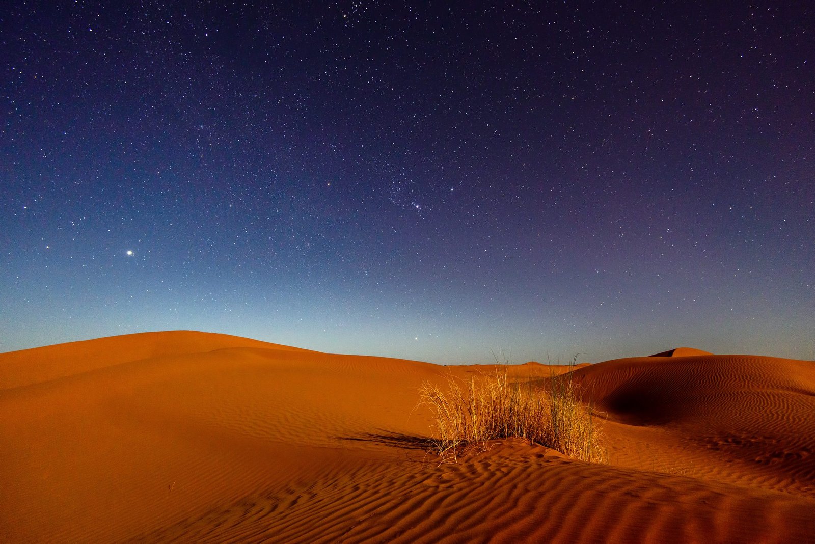 Sahara night sky